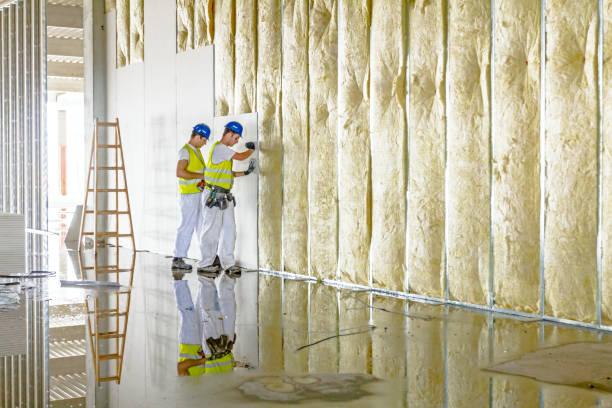 Best Basement Insulation  in Verona, WI